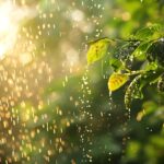 Dirk Henning Braun mit effizienter Nutzung von Regenwasser und Sonne